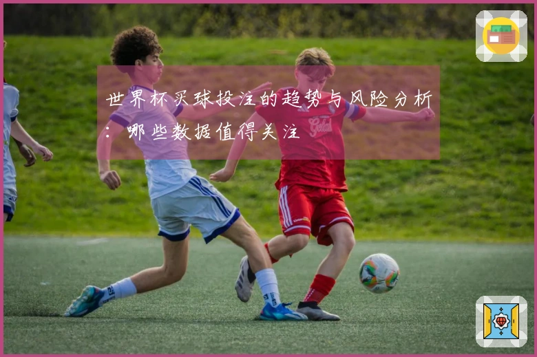 世界杯买球投注的趋势与风险分析：哪些数据值得关注
