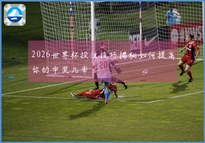 2026世界杯投注技巧揭秘如何提高你的中奖几率