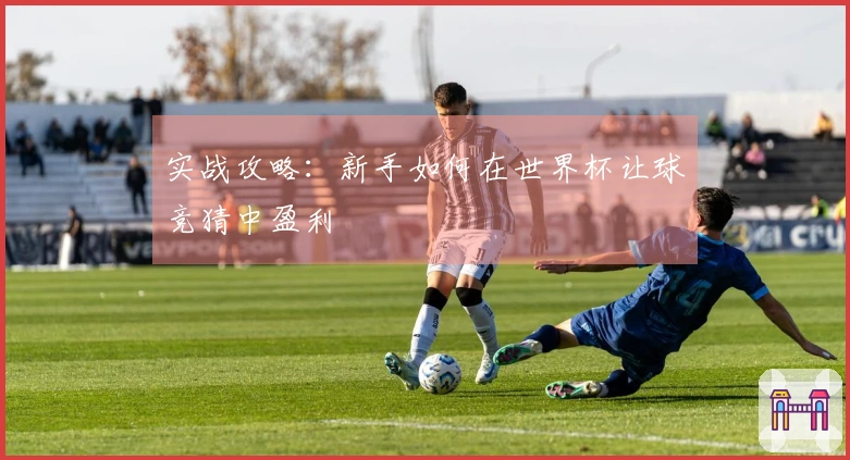 实战攻略：新手如何在世界杯让球竞猜中盈利