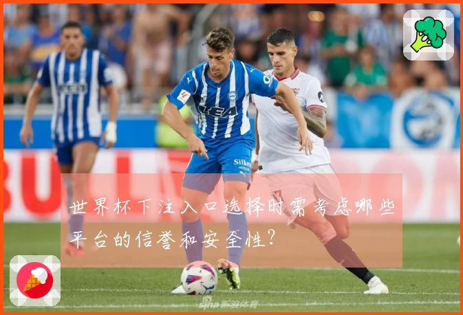 世界杯下注入口选择时需考虑哪些平台的信誉和安全性?