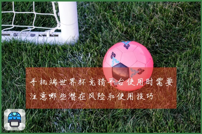 手机端世界杯竞猜平台使用时需要注意哪些潜在风险和使用技巧