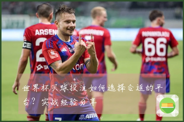 世界杯买球投注如何选择合适的平台？实战经验分享