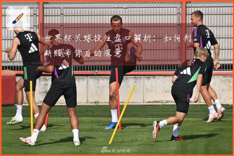 世界杯买球投注盘口解析：如何判断赔率背后的深意