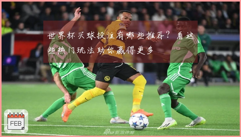 世界杯买球投注有哪些推荐？看这些热门玩法助你赢得更多