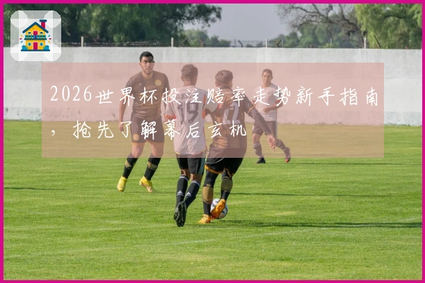 2026世界杯投注赔率走势新手指南，抢先了解幕后玄机