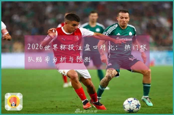 2026世界杯投注盘口对比：热门球队赔率分析与预测