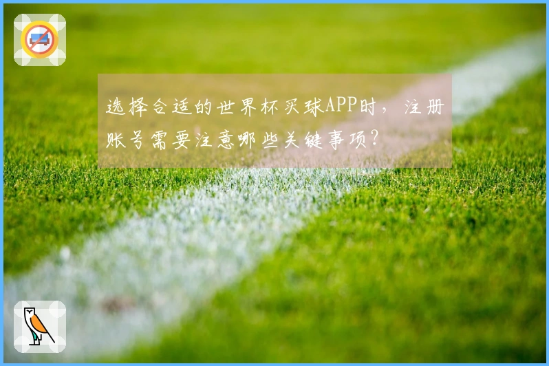 选择合适的世界杯买球APP时，注册账号需要注意哪些关键事项？