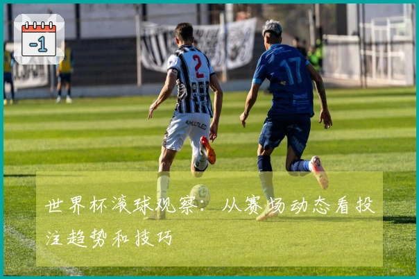 世界杯滚球观察：从赛场动态看投注趋势和技巧