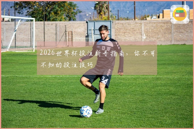 2026世界杯投注新手指南，你不可不知的投注技巧