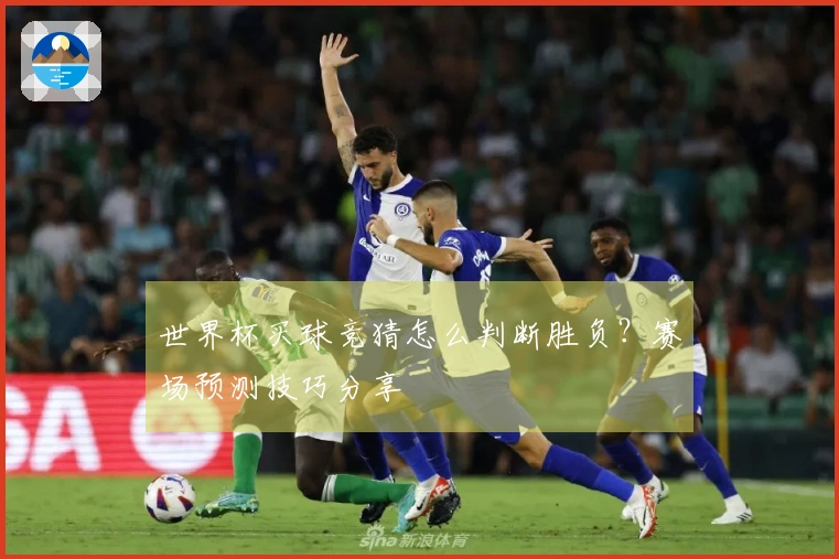 世界杯买球竞猜怎么判断胜负？赛场预测技巧分享