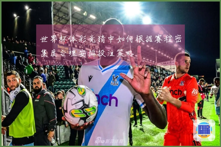 世界杯体彩竞猜中如何根据赛程密集度合理安排投注策略