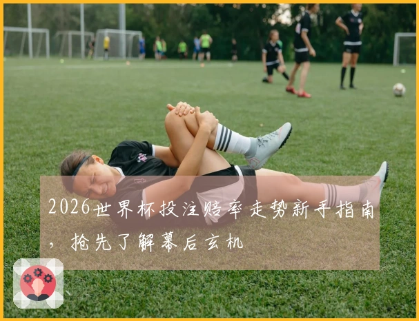 2026世界杯投注赔率走势新手指南，抢先了解幕后玄机