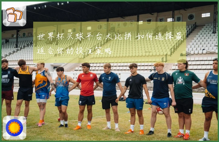 世界杯买球平台大比拼 如何选择最适合你的投注策略