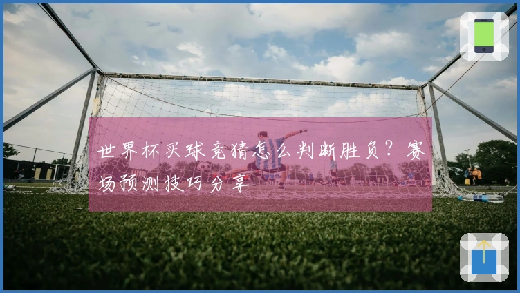 世界杯买球竞猜怎么判断胜负？赛场预测技巧分享
